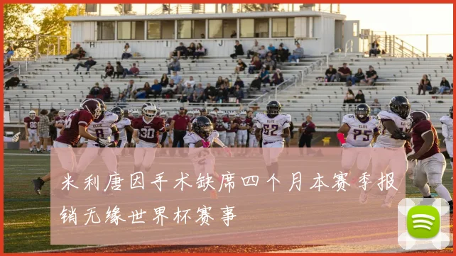 米利唐因手术缺席四个月本赛季报销无缘世界杯赛事